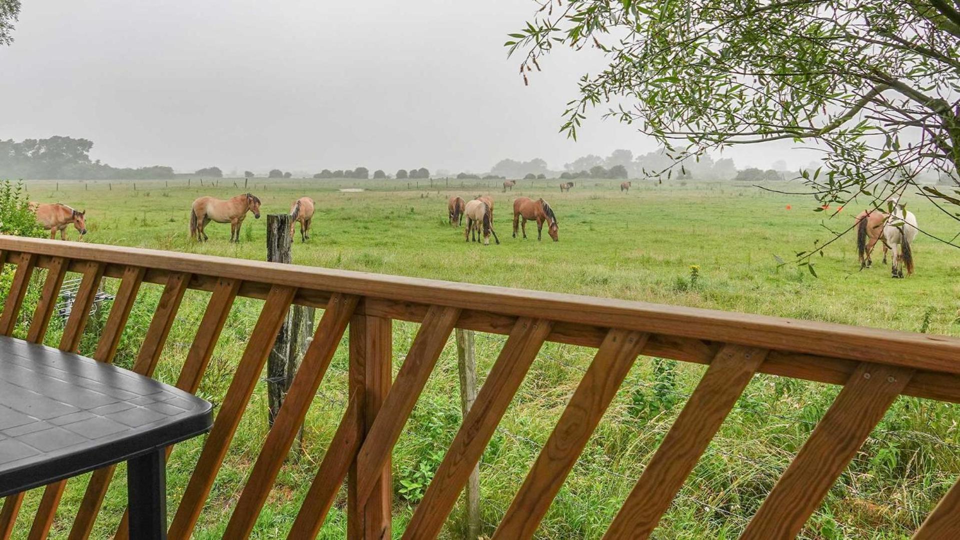 Camping Les 3 Sablieres Saint-Firmin  Exteriör bild